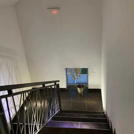 11 *